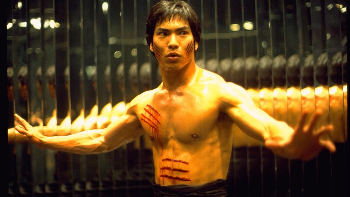 DRAGON: BRUCE LEE STORY
