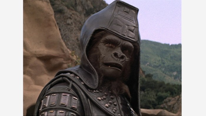 THE PLANET OF THE APES