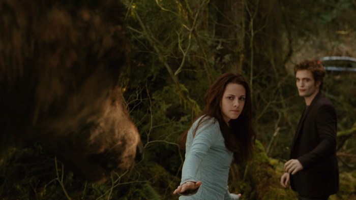 THE TWILIGHT SAGA: NEW MOON